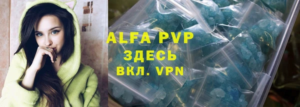 индика Киреевск