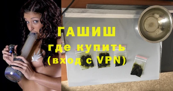 индика Киреевск
