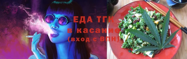 индика Киреевск