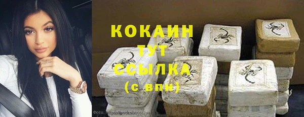 гидра Кинешма