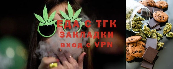индика Киреевск