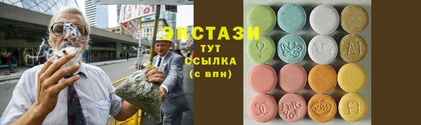 индика Киреевск