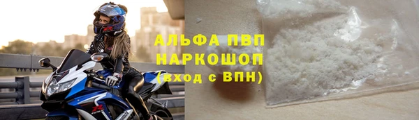 индика Киреевск