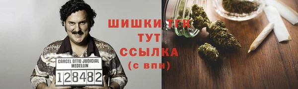 индика Киреевск