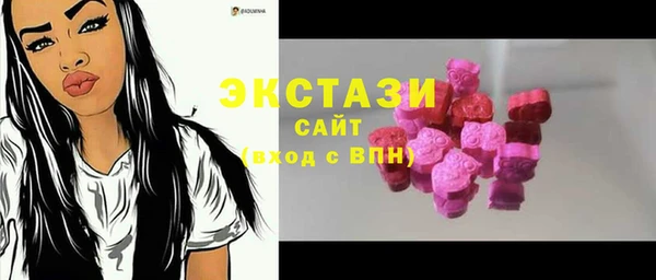 индика Киреевск