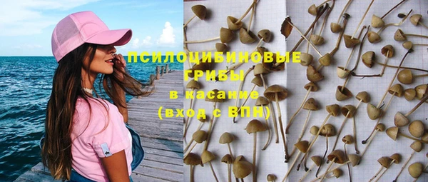 индика Киреевск