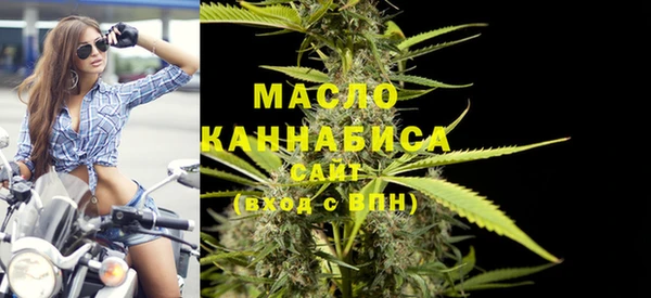 гидра Кинешма