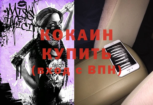 индика Киреевск