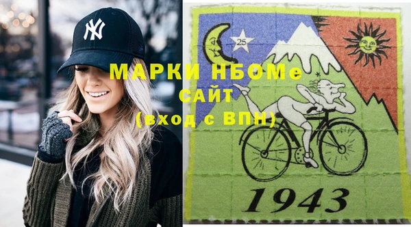 индика Киреевск