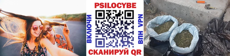 Купить закладки  Зеленокумск  Псилоцибиновые грибы мухоморы 
